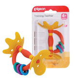 Pigeon Training Teether Step 1
